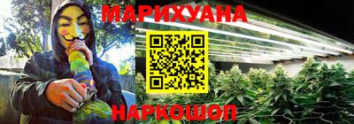гашик Бузулук
