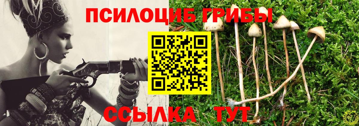 Псилоцибиновые грибы прущие грибы Тавда
