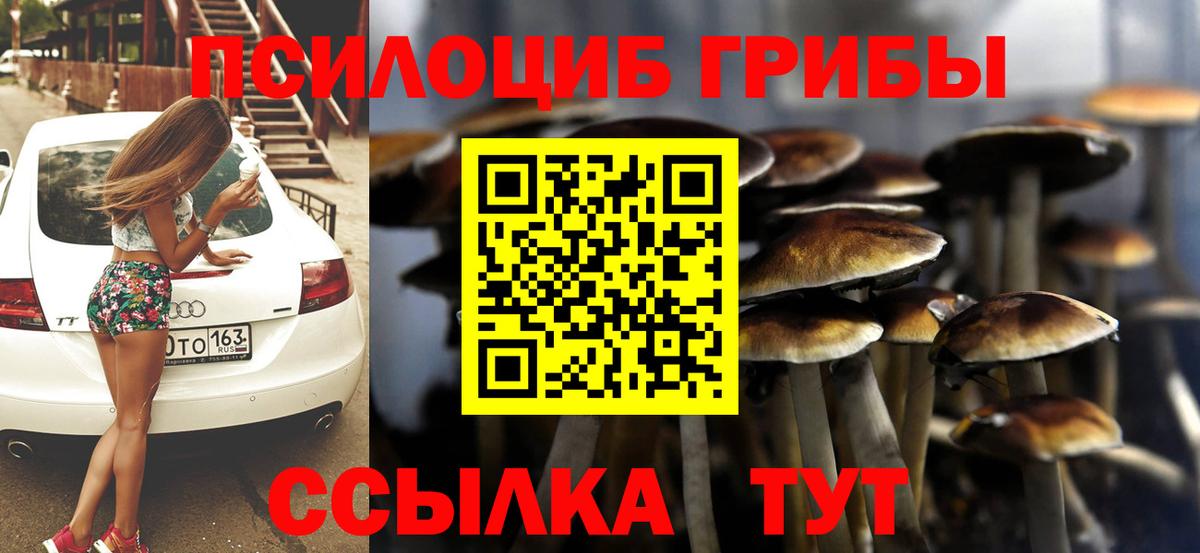 Псилоцибиновые грибы Magic Shrooms  где купить наркотик  Псилоцибиновые грибы прущие грибы  Тавда  Вход с VPN 